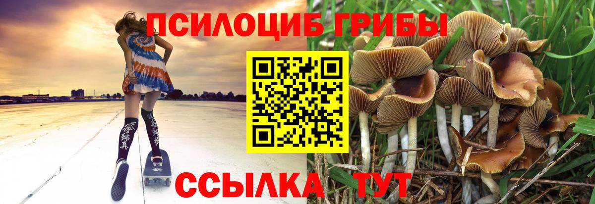 Ейск  Псилоцибиновые грибы GOLDEN TEACHER  Галлюциногенные грибы Magic Shrooms  где найти   Вход с VPN 